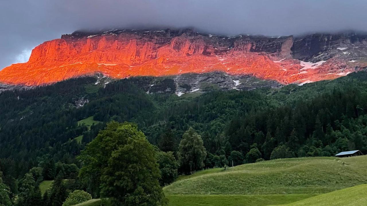 Ferienwohnung Im Gruenen Grindelwald Extérieur photo