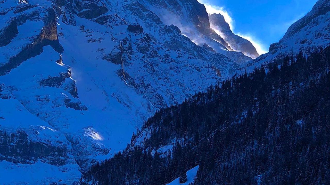 Ferienwohnung Im Gruenen Grindelwald Extérieur photo