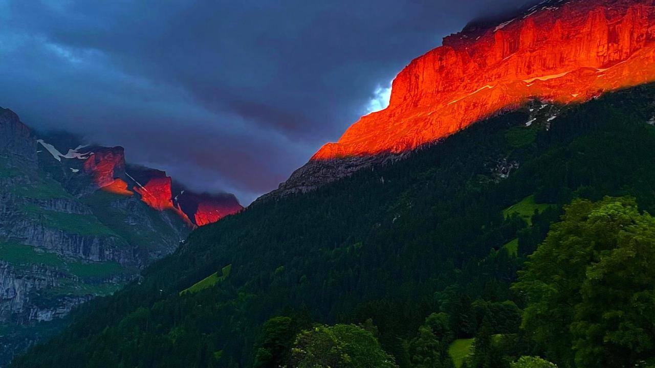 Ferienwohnung Im Gruenen Grindelwald Extérieur photo
