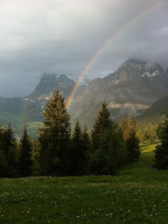 Ferienwohnung Im Gruenen Grindelwald Extérieur photo
