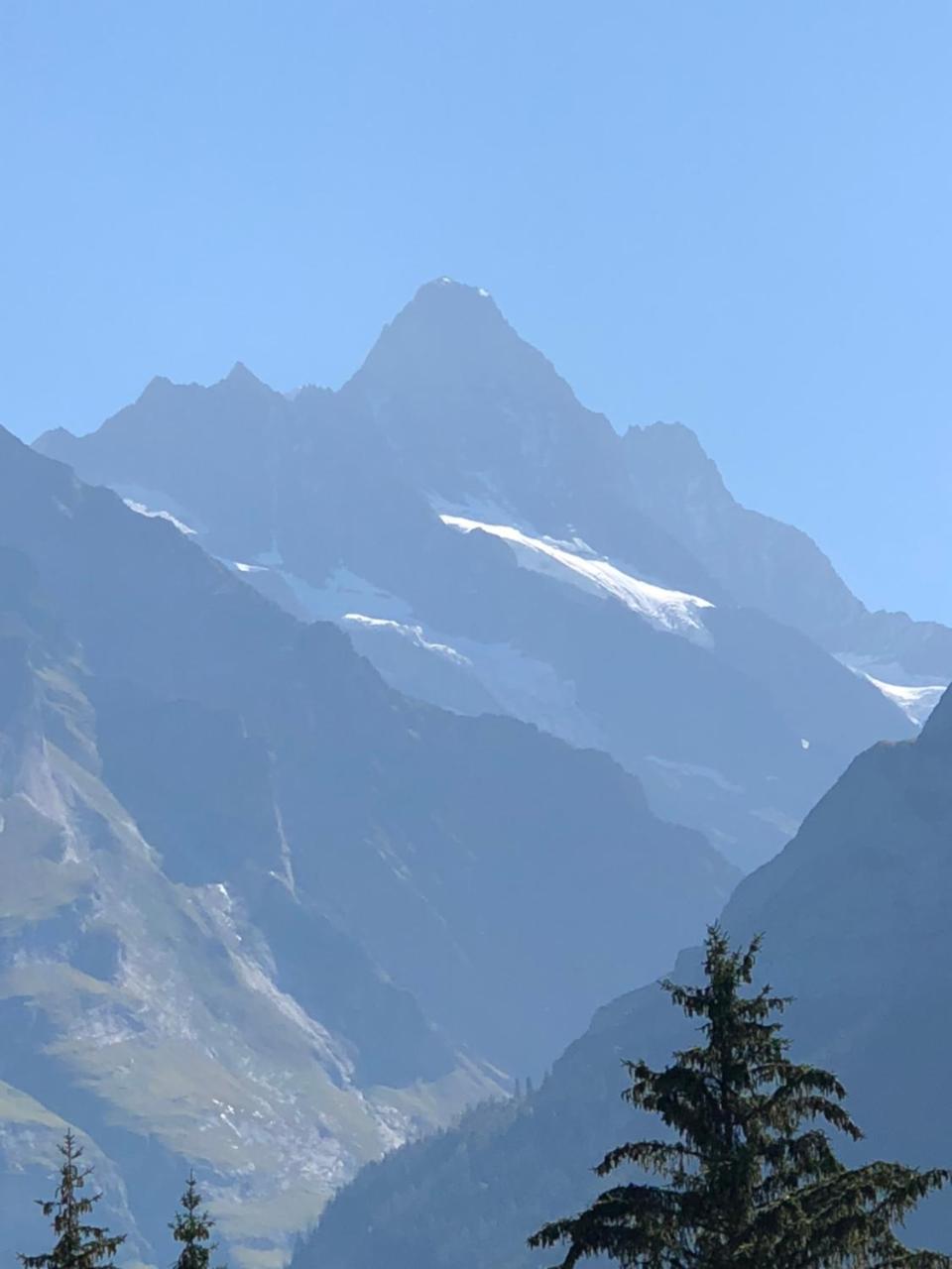 Ferienwohnung Im Gruenen Grindelwald Extérieur photo