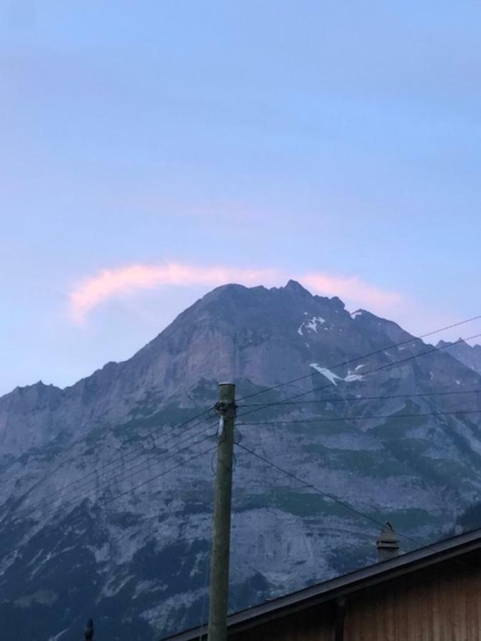 Ferienwohnung Im Gruenen Grindelwald Extérieur photo